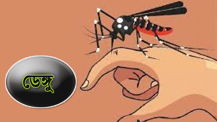 ডেঙ্গুতে মৃত্যু ছাড়াল দুইশ, সেপ্টেম্বরেই ১০৪