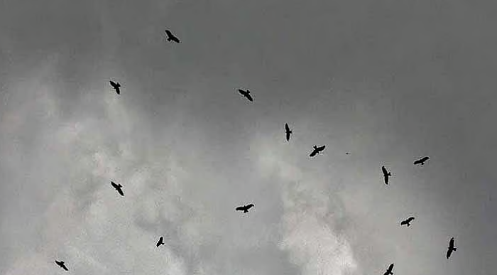 সাগরে লঘুচাপ, বন্দরে ৩ নম্বর সংকেত