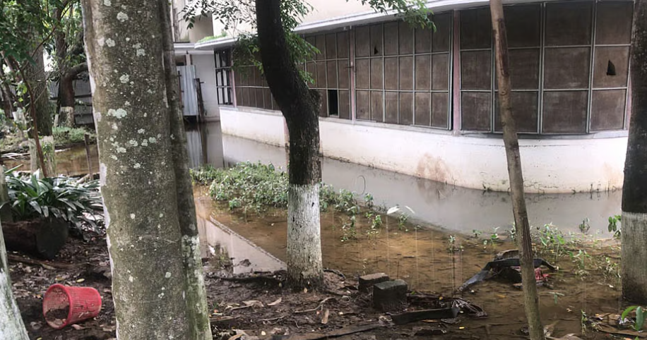 ইউনূসের পারিবারিক ভিটায় মশার প্রজনন ক্ষেত্র