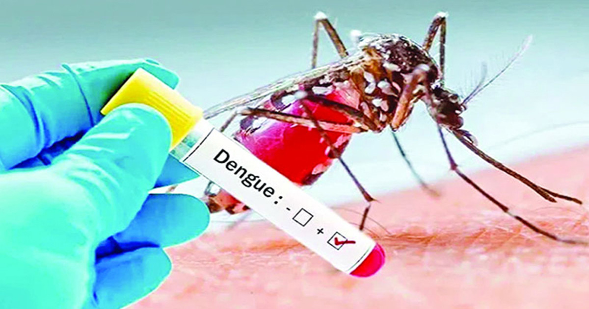 একদিনে ডেঙ্গুতে ১০ জনের মৃত্যু, হাসপাতালে ভর্তি ১৯৯৬