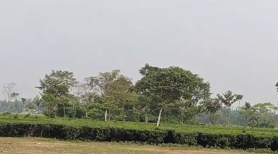 লালমনিরহাট সীমান্তে ১২ জনকে ঠেলে দেওয়ার চেষ্টা বিএসএফের, বিজিবির বাধায় পণ্ড