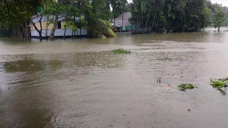 কিশোরগঞ্জে সাড়ে ৬ হাজার পুকুরের মাছ ভেসে গেল