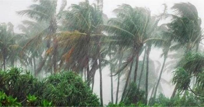 যে ৬ বিভাগে আজও ঝর-বৃষ্টি হতে পারে