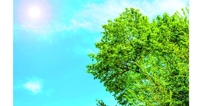 ফেরেশতারা যাদের অভিশাপ দেন