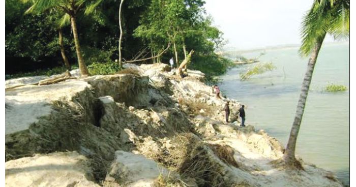 মধুমতির ভাঙনে দিশেহারা লোহাগড়ার জনবসতি