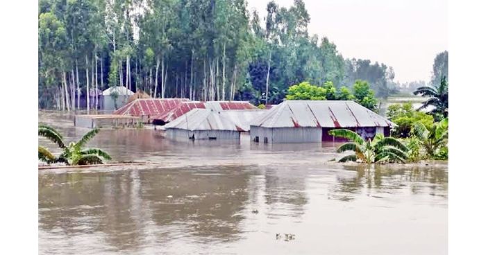 ধরলা নদীর পানি বিপৎসীমার ওপরে, প্রায় ২০ হাজার মানুষ পানিবন্দি