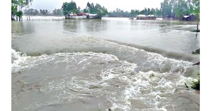 কুড়িগ্রামে ব্রহ্মপুত্র-তিস্তায় পানি বৃদ্ধি