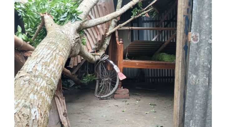 ঈশ্বরগঞ্জে কালবৈশাখী ঝড়ে গাছ চাপায় এক জনের মৃত্যু