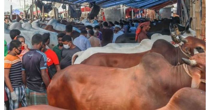 জম্মু ও কাশ্মীরে পশু জবাই নিষিদ্ধ
