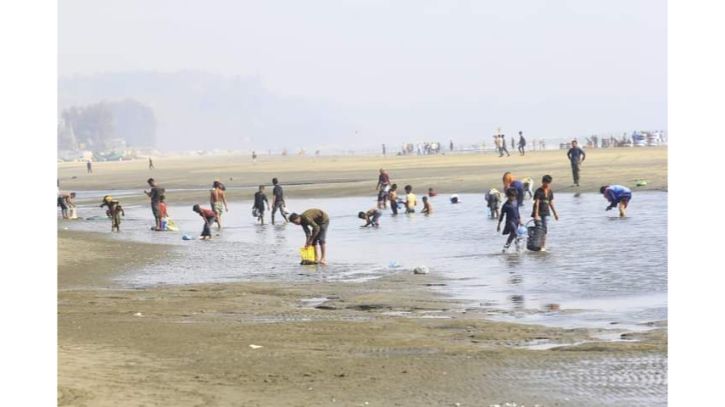 সৈকতে মাছ ভেসে আসার আসল কারণ জানা গেল?