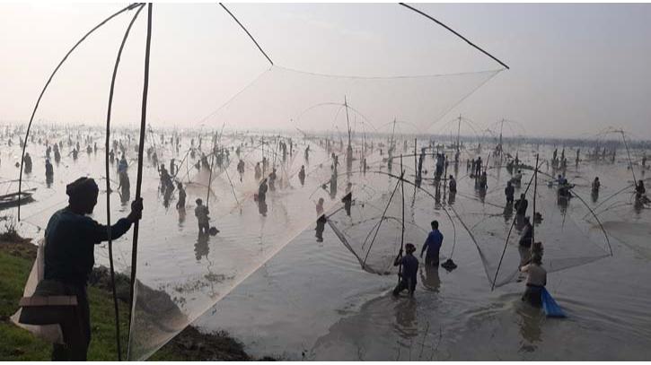 চলনবিল এ  বাউত উৎসব, মাছ না পেয়ে হতাশ শিকারিরা