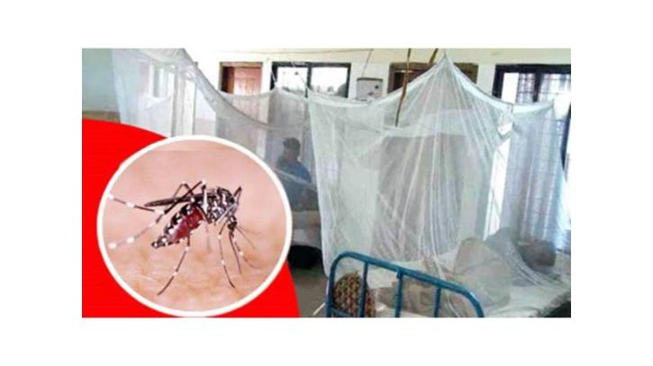 ডেঙ্গুতে দুইজনের মৃত্যু, হাসপাতালে ভর্তি ৩৬২