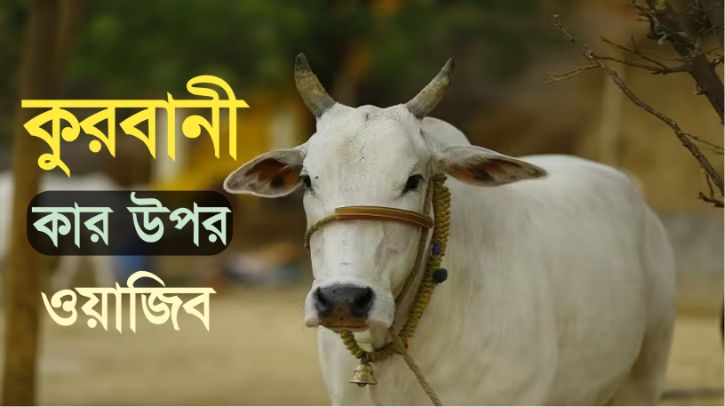 কুরবানী সংক্রান্ত কিছু জরুরি মাসায়েল