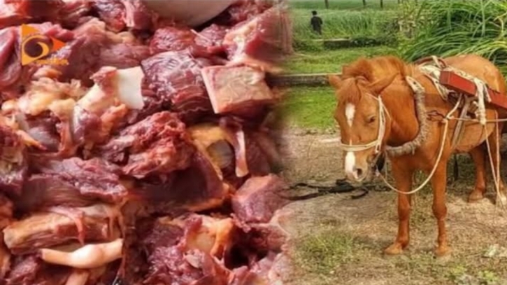 টাঙ্গাইলে ঘোড়ার মাংস প্রস্তুতের সময় চারজন আটক