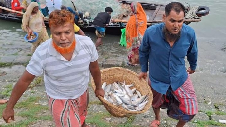 চাঁদপুরে নিষেধাজ্ঞা শেষে পদ্মা-মেঘনায় ইলিশ ধরতে নেমেছেন জেলেরা