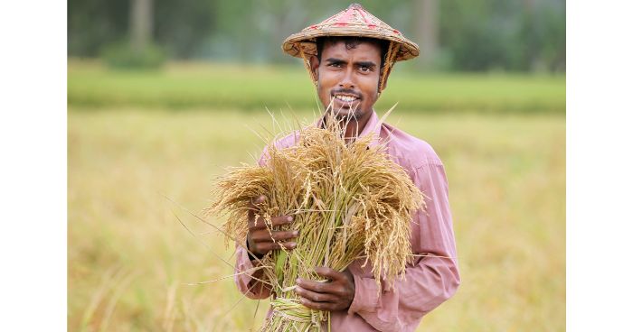 খাদ্য উৎপাদন বাড়াতে গবেষণায় জোর দিতে হবে: প্রধানমন্ত্রী