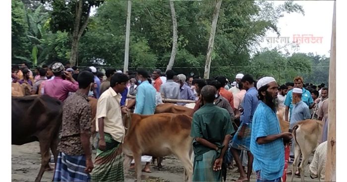 কোরোনার কারণে রংপুরে ৩৫ পশুরহাট বন্ধ ঘোষণা