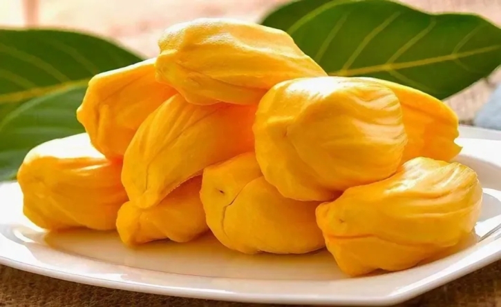জীবনরহস্য উন্মোচন হলো বারোমাসি কাঁঠালের
