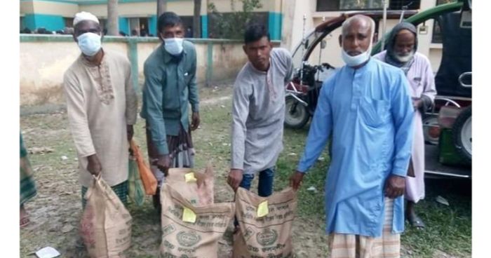 কুড়িগ্রামের ভূরুঙ্গামারীতে বিনামূল্যে বীজ ও সার পাচ্ছেন ১২০০ কৃষক