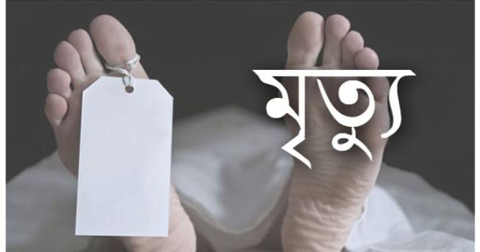 সৌদি আরবে বিদ্যুৎস্পৃষ্ট হয়ে মামা-ভাগিনাসহ ৩ জনের মৃত্যু