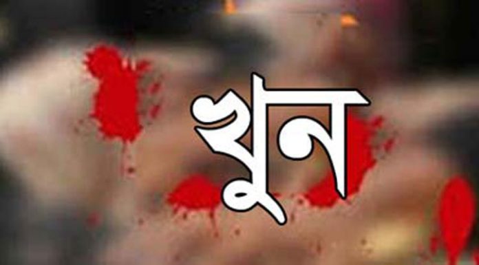 এনজিওর কিস্তির টাকা পরিশোধ নিয়ে কথা কাটাকাটি, ছেলের হাতে মা খুন!