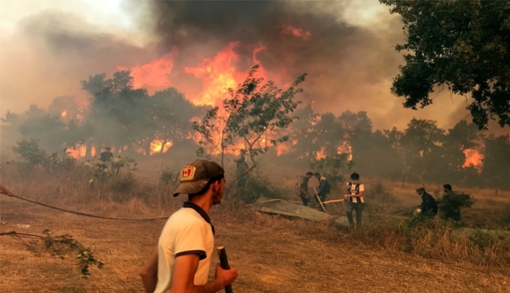 আলজেরিয়ায় ভয়াবহ দাবানলে ৩৪ জনের মৃত্যু, নিরাপদ আশ্রয়ে বহু মানুষ