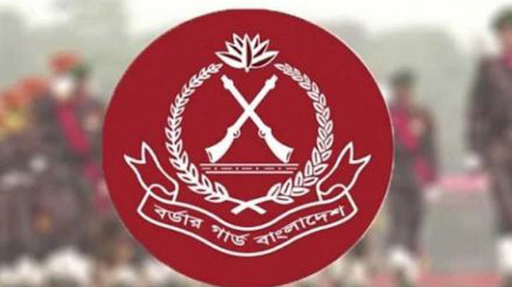 বিজিবির হাতে ১৩৭ কোটি টাকার চোরাচালান পণ্য ও মাদকদ্রব্য জব্দ
