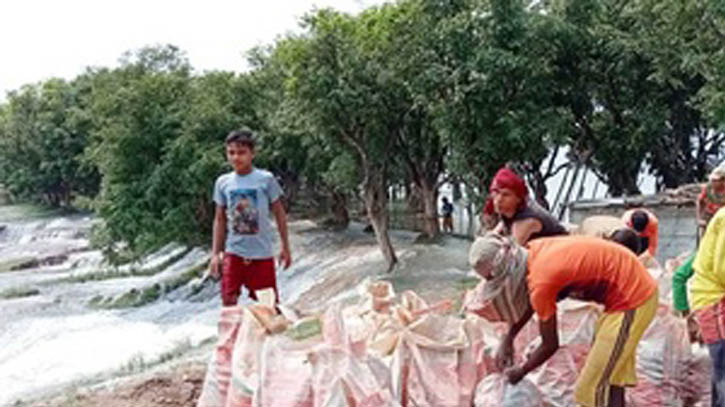 সুনামগঞ্জের হাওড়ের বাঁধ ভাঙছে, ফসল কাটার পরামর্শ