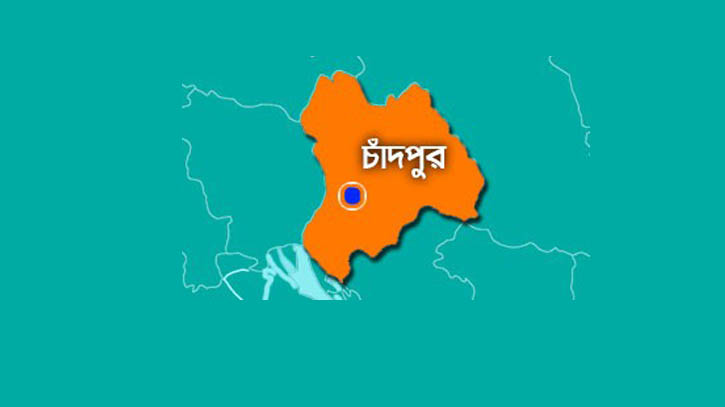 চাঁদপুরে ৫২টি সামুদ্রিক কচ্ছপ আটক