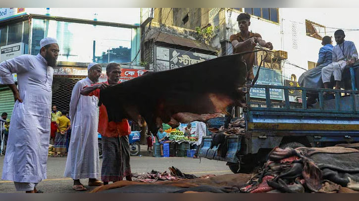প্রতি ফুট কোরবানির গরুর চামড়ায় ২ টাকা বাড়াল সরকার