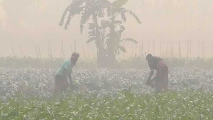 দেশের সর্বনিম্ন তাপমাত্রা চুয়াডাঙ্গায়