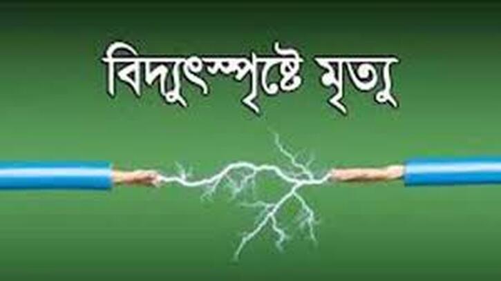 ঠাকুরগাঁওয়ে বিদ্যুৎস্পৃষ্ট হয়ে দুই ভাইয়ের মর্মান্তিক মৃত্যু