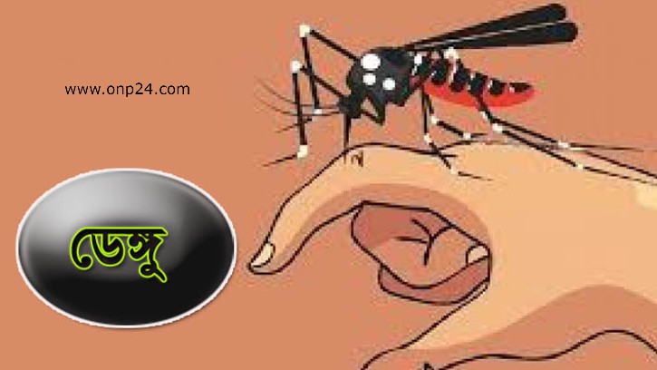 ডেঙ্গু: গত ২৪ ঘন্টায় মারা গেছে ১৫, নতুন আক্রান্ত ২,১০৩ জন