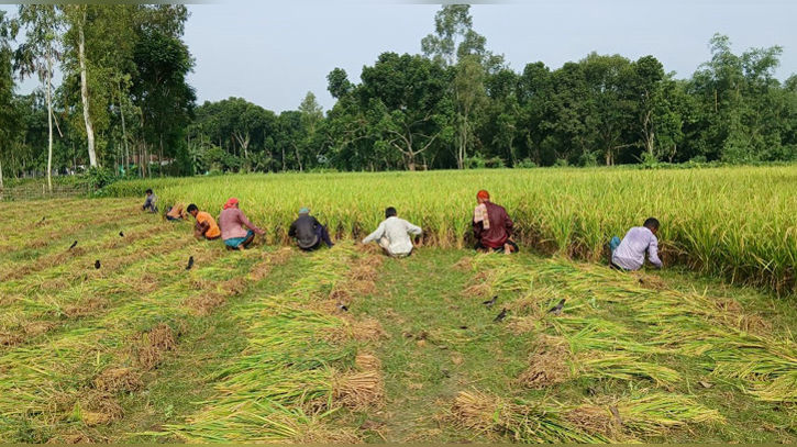 কার্ডের মাধ্যমে আড়াই হাজার টাকার সার-বীজ দেওয়া হবে কৃষকদের