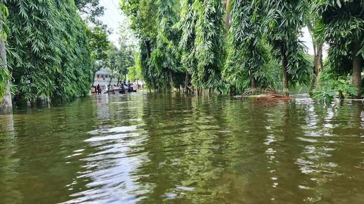 ফেনীতে বন্যার পরিস্থিতি আরও উন্নতি