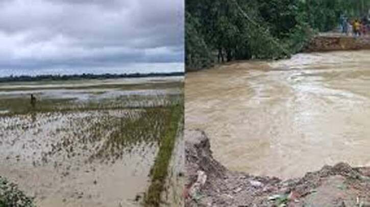 ফেনীতে বন্যায় কৃষিখাতে ক্ষতি ৯১৪ কোটি টাকা
