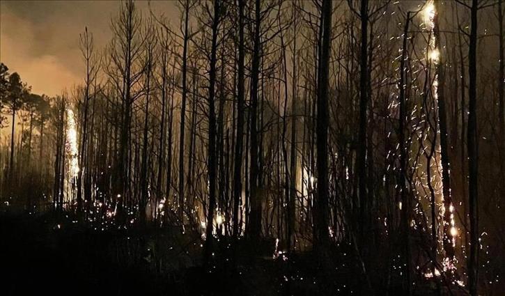 ভয়াবহ দাবানলে পুড়ছে ইসরায়েল, নেতানিয়াহুর জরুরি বৈঠক