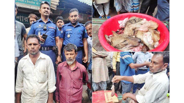 হাজীগঞ্জবাজারে শিয়ালের মাংস বিক্রি করায় দুইজনের অর্থদণ্ড