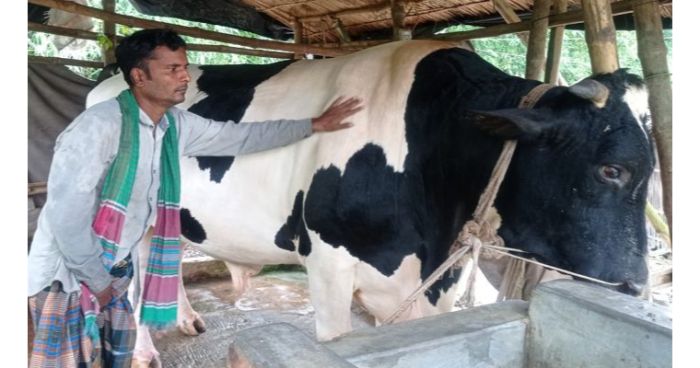 ৪০ মণ ওজনের ‘বীর বাহাদুর’ দেখতে জনতার ভিড়