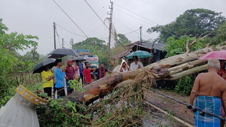 রেমালে বিপর্যস্ত কলকাতা, লাইনে গাছ পড়ে ট্রেন চলাচল বন্ধ