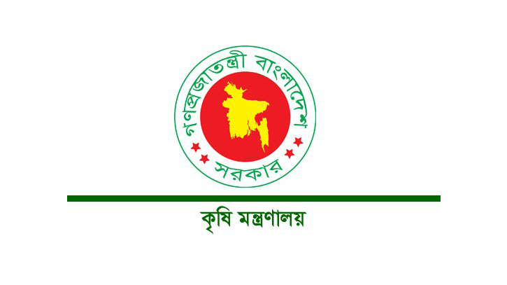 হাওরের ৪১ শতাংশ বোরো ধান কাটা শেষ