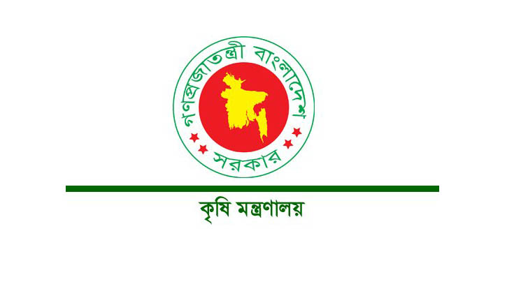 হাওরের ৯০ ভাগ ধান কাটা শেষ