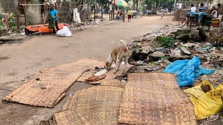 ‘কোরবানীর পশুর বর্জ্য রাত দশটার মধ্যে অপসারণ করতে হবে’