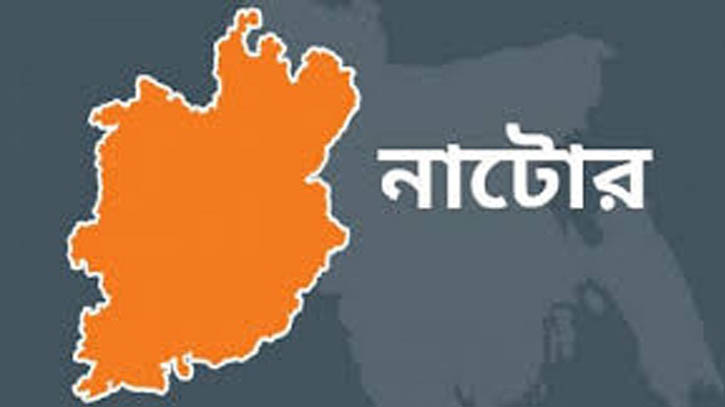 নাটোরে দুই বাসের মুখোমুখি সংঘর্ষে নিহত ৬