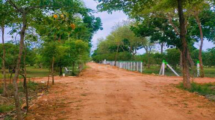 গ্রামাঞ্চলে ৫ হাজার কি.মি. নতুন সড়ক নির্মাণ করবে সরকার