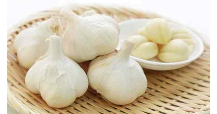রসুন স্বাস্থ্যের জন্য কতটা উপকারী তা দেখে নিন?