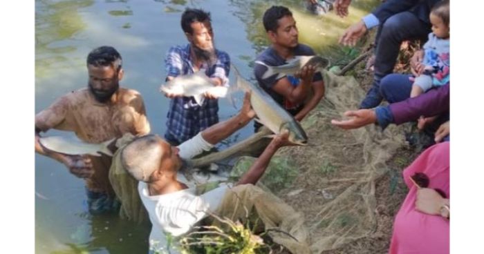 প্রযুক্তির মাধ্যমে দক্ষিণাঞ্চলে কার্প জাতীয় মাছ চাষে নতুন সম্ভাবন
