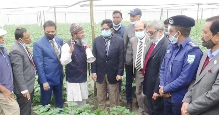 রফতানিযোগ্য আলুর আবাদ বৃদ্ধিতে গুরুত্ব দেয়া হচ্ছে: কৃষিমন্ত্রী