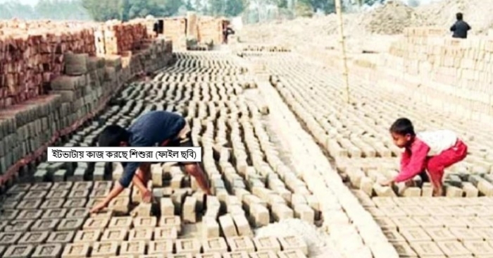 মজুরি ৫০ টাকা, ইটভাটায় কাজ করছে দেড় হাজার শিশু
