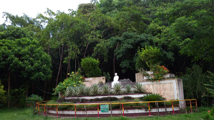 সীতাকুন্ড ইকোপার্কে চট্টগ্রাম চিড়িয়াখানার ১১ অজগর ছানা অবমুক্ত